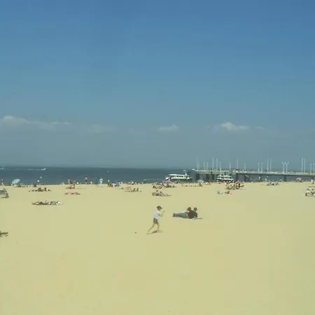 Arcachonaise A 50 M De La Plage, Centre Semesterbostad *
