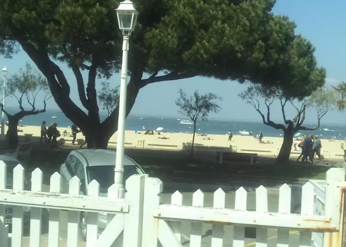 Arcachonaise A 50 M De La Plage, Centre *