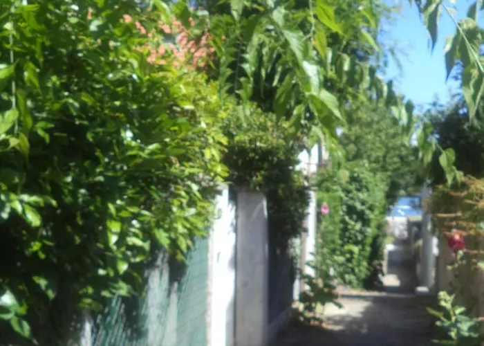 Arcachonaise A 50 M De La Plage, Centre *